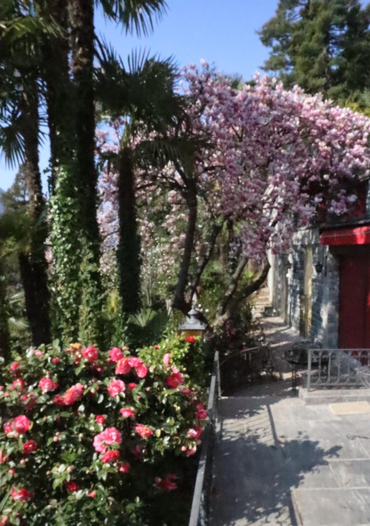 Barony Le Pergole Holiday Apartments ルガーノ エクステリア 写真
